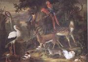 Jakob Bogdani Birds and deer in a Garden (mk25) painting